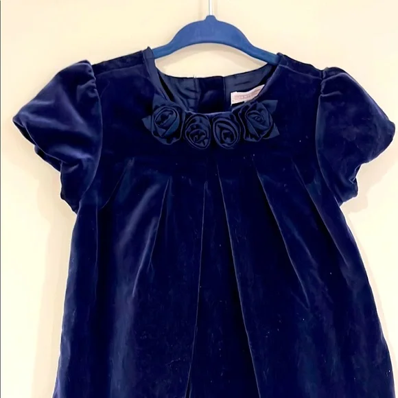 Janie and Jack | Dresses | Janie And Jack Infant 824mo Velvet Holiday Dress  Navy Roses Puff Sleeves Lined | Poshmark